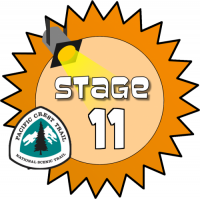 Stage 11 Award