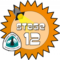 Stage 12 Award