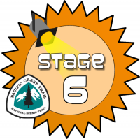 Stage 6 Award