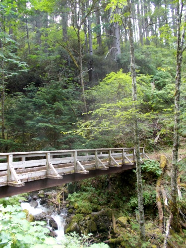 Lillian Creek