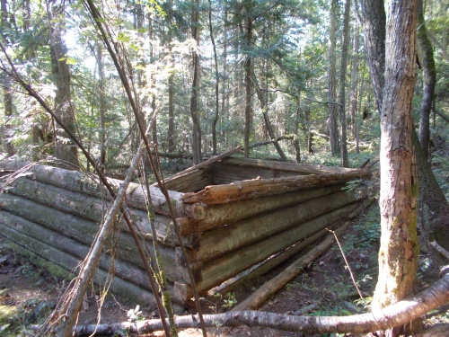 Old miner cabin