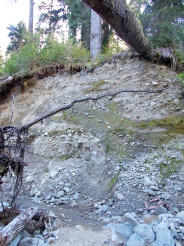 Landslide on the trail