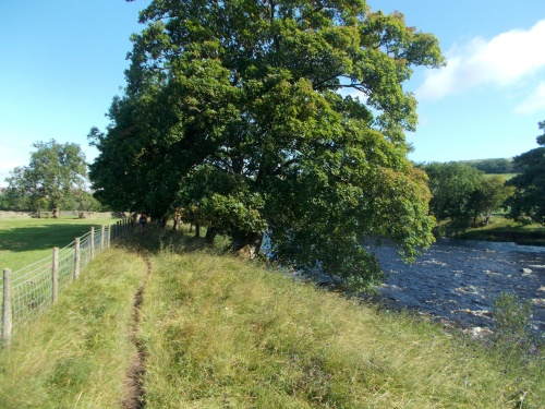 River Tees