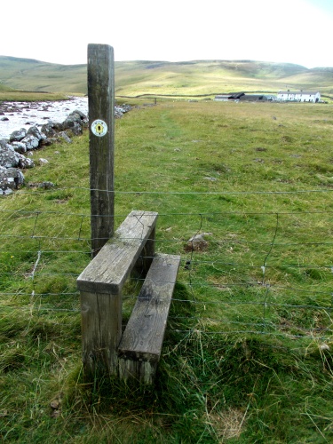 Steps over a fence