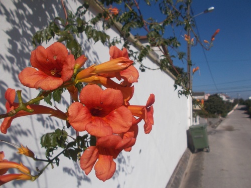 Ansião, Portugal
