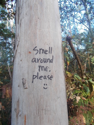 That's an odd message....