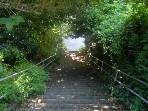 Staircases of Queen Anne Hill