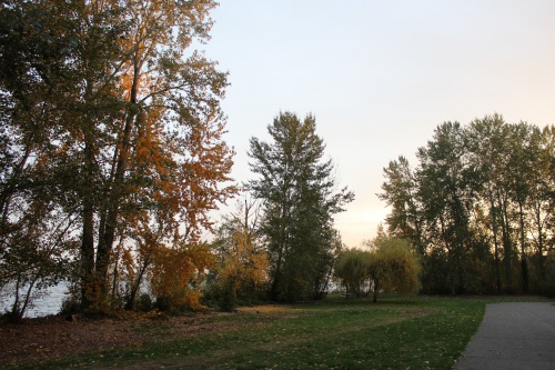 Magnuson Park