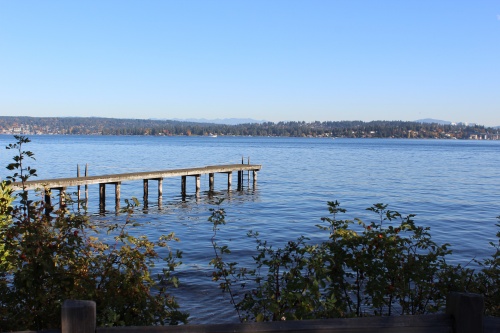 Lake Washington