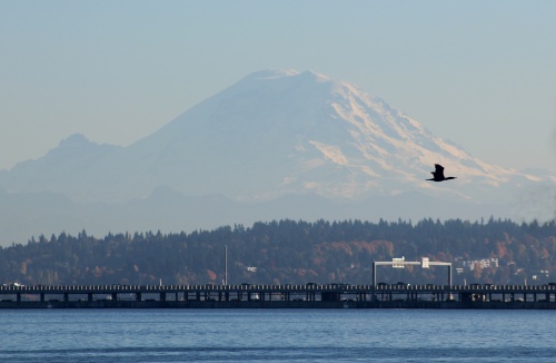 Mount Rainier