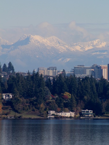Views of Bellevue