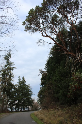 Seward Park