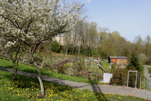 Longfellow Creek West Seattle P-Patch