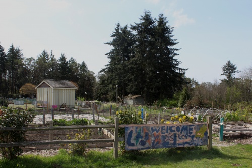 Westcrest P-Patch Community Gardens