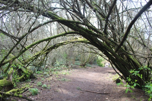 Westcrest Park