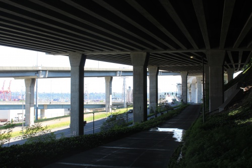 Under the West Seattle Bridge