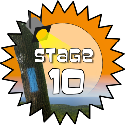 Stage 10 Award