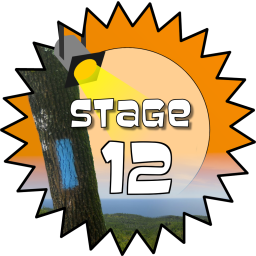 Stage 12 Award