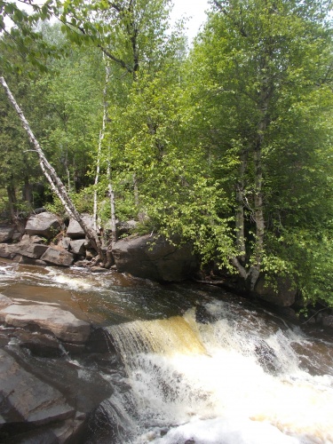 Kingsbury Creek