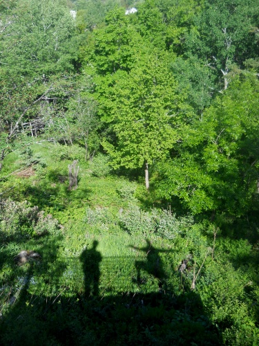 Shadow games