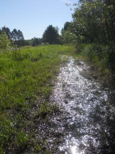 Muddy, muddy trail....