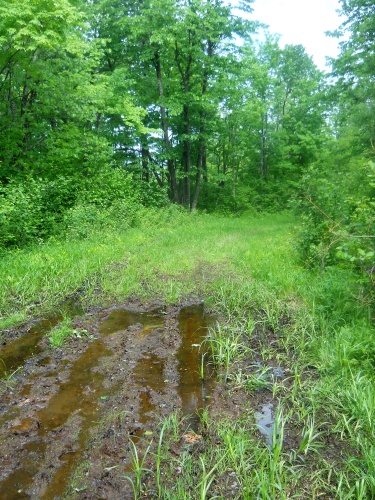 55.8&nbsp;miles