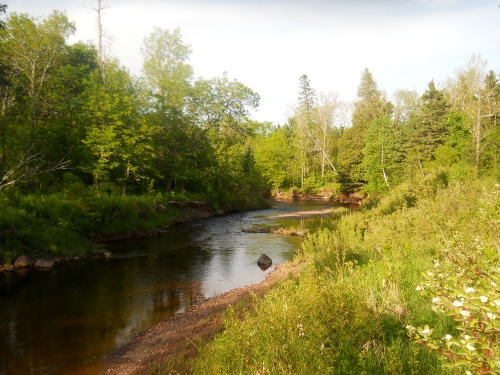 Gooseberry River