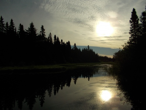 Bally Creek Pond