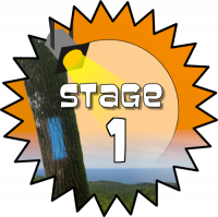 Stage 1 Award