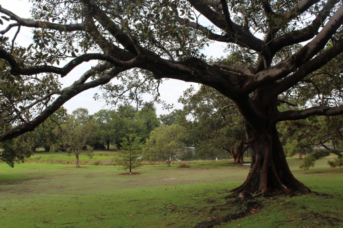 Centennial Park
