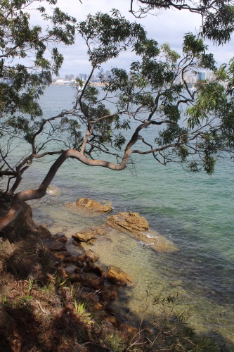 Sydney Harbour National Park