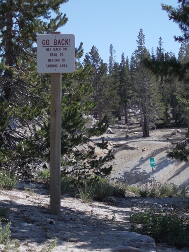 Go back! Back, I tell you!