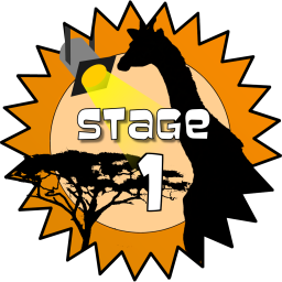 Stage 1 Award