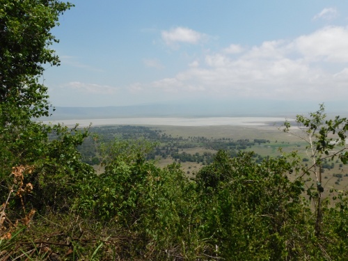 Ngorongoro Crater
