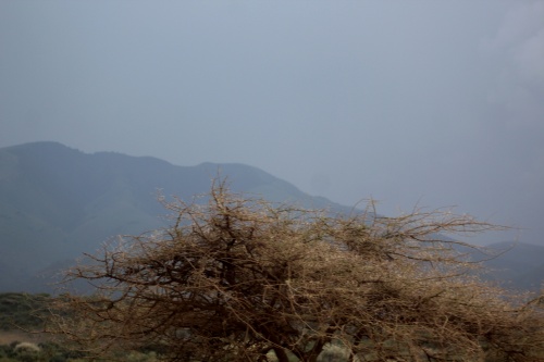 Ngorongoro Crater