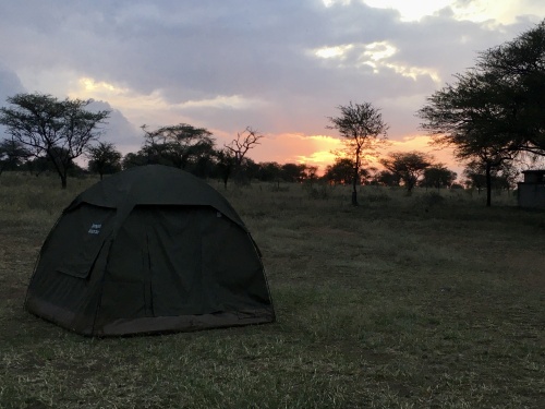 Safari camp