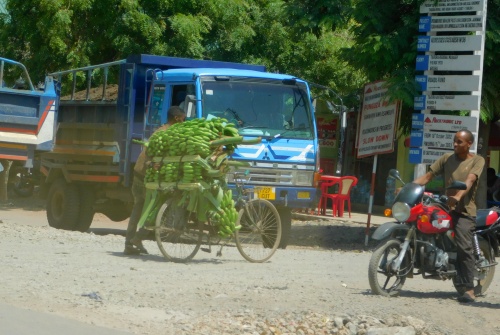 Bananas on a bike