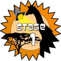 Stage 1 Award