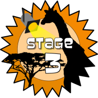 Stage 3 Award