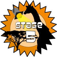 Stage 5 Award