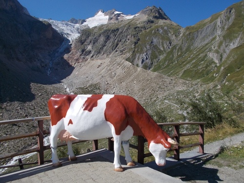 Fake cow on the loose!