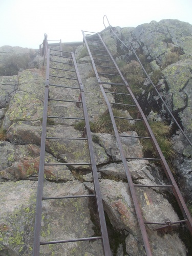 Double ladders!