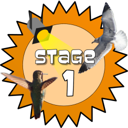 Stage 1 Award