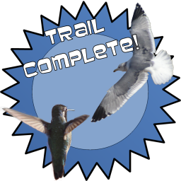 Trail Award