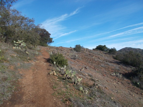 12.3 miles