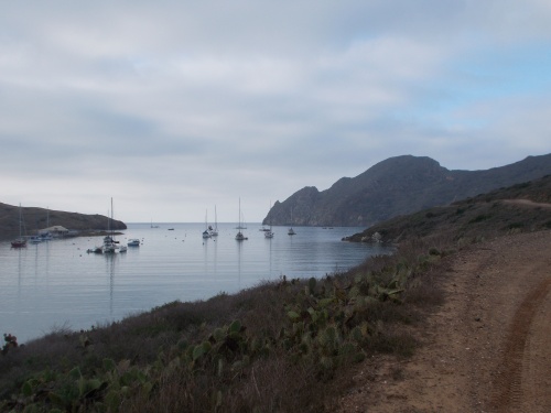 Catalina Harbor