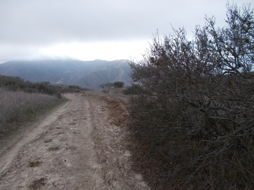 23.1&nbsp;miles