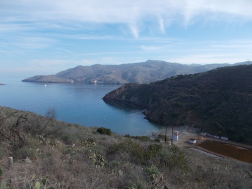Cherry Cove