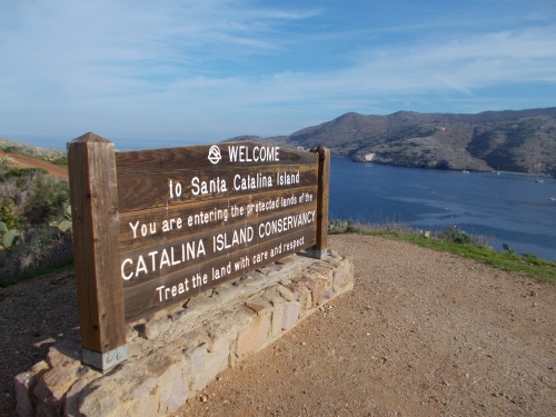 Welcome to Santa Catalina Island!