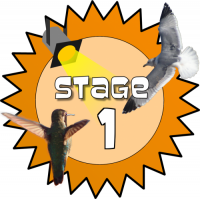 Stage 1 Award